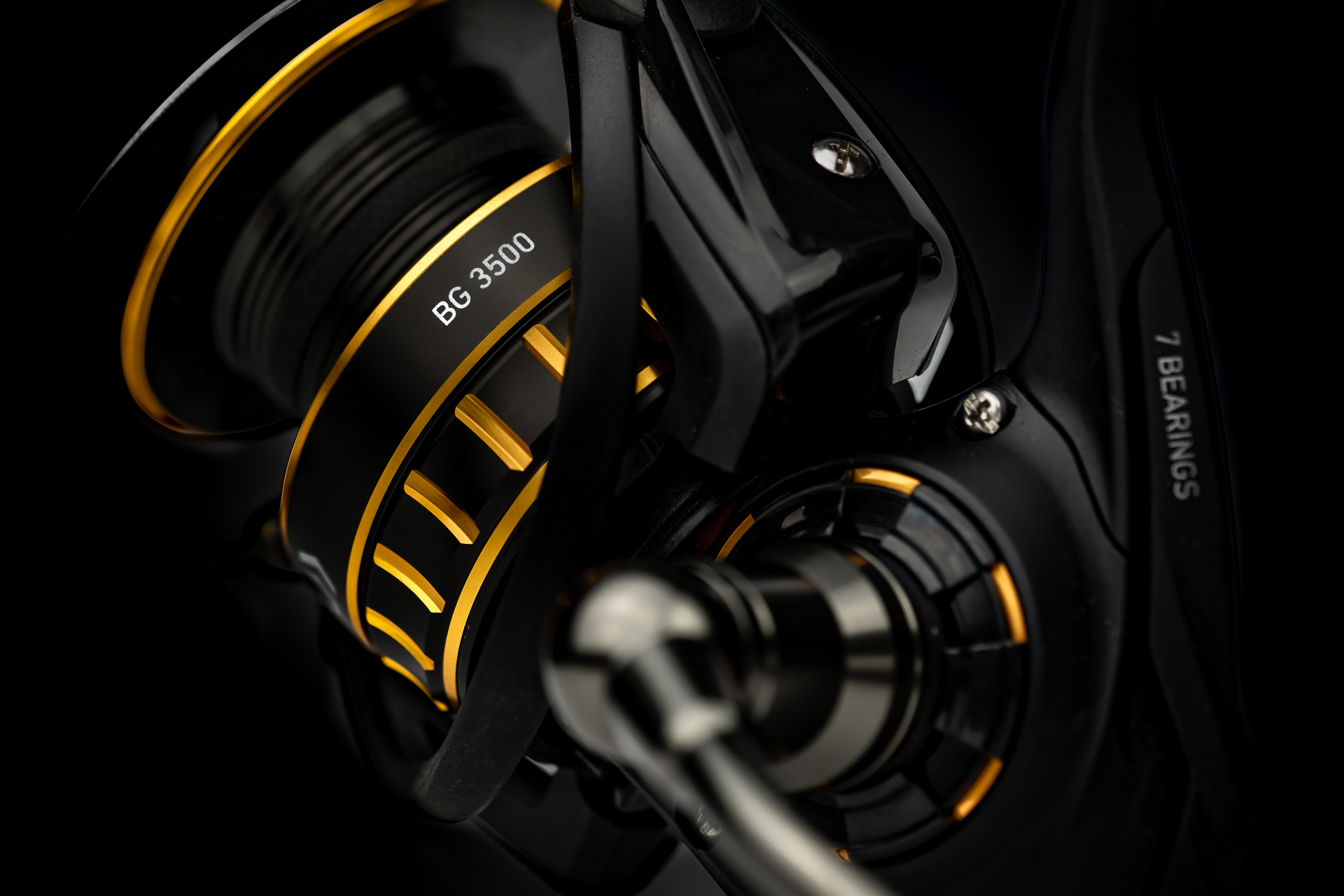 BG <span>| Saltwater spinning reel</span>