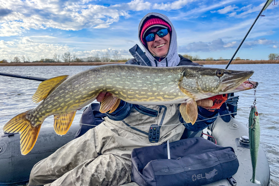 Prorex Side Kick Shad XL | 230mm <span>| Gummifisch</span>