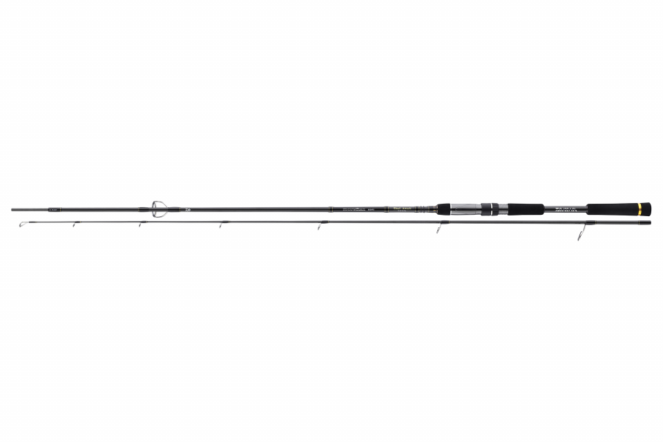 Morethan Shad Attack <span>| Spinning rod | M | MH | H</span>