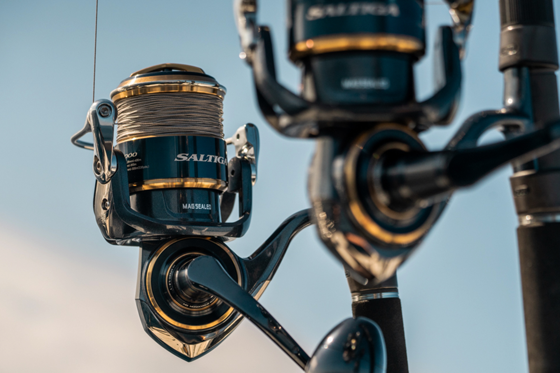 20 Saltiga <span>| Saltwater spinning reel</span>