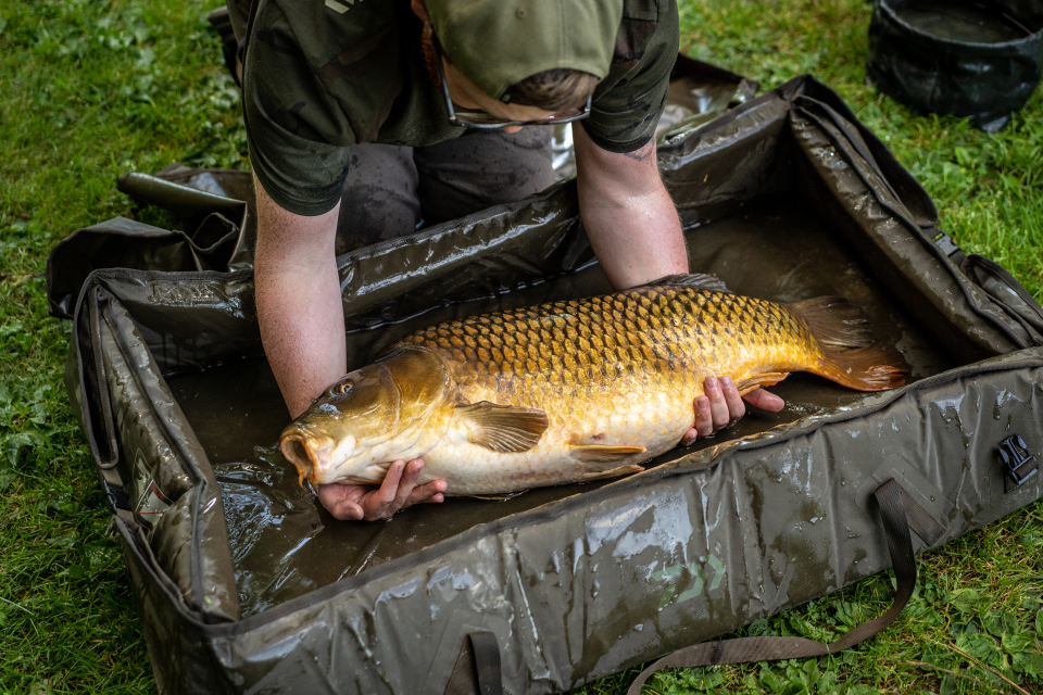 Daiwa Carp Floating Unhooking Mat <span>| Abhakmatte | schwimmend</span>