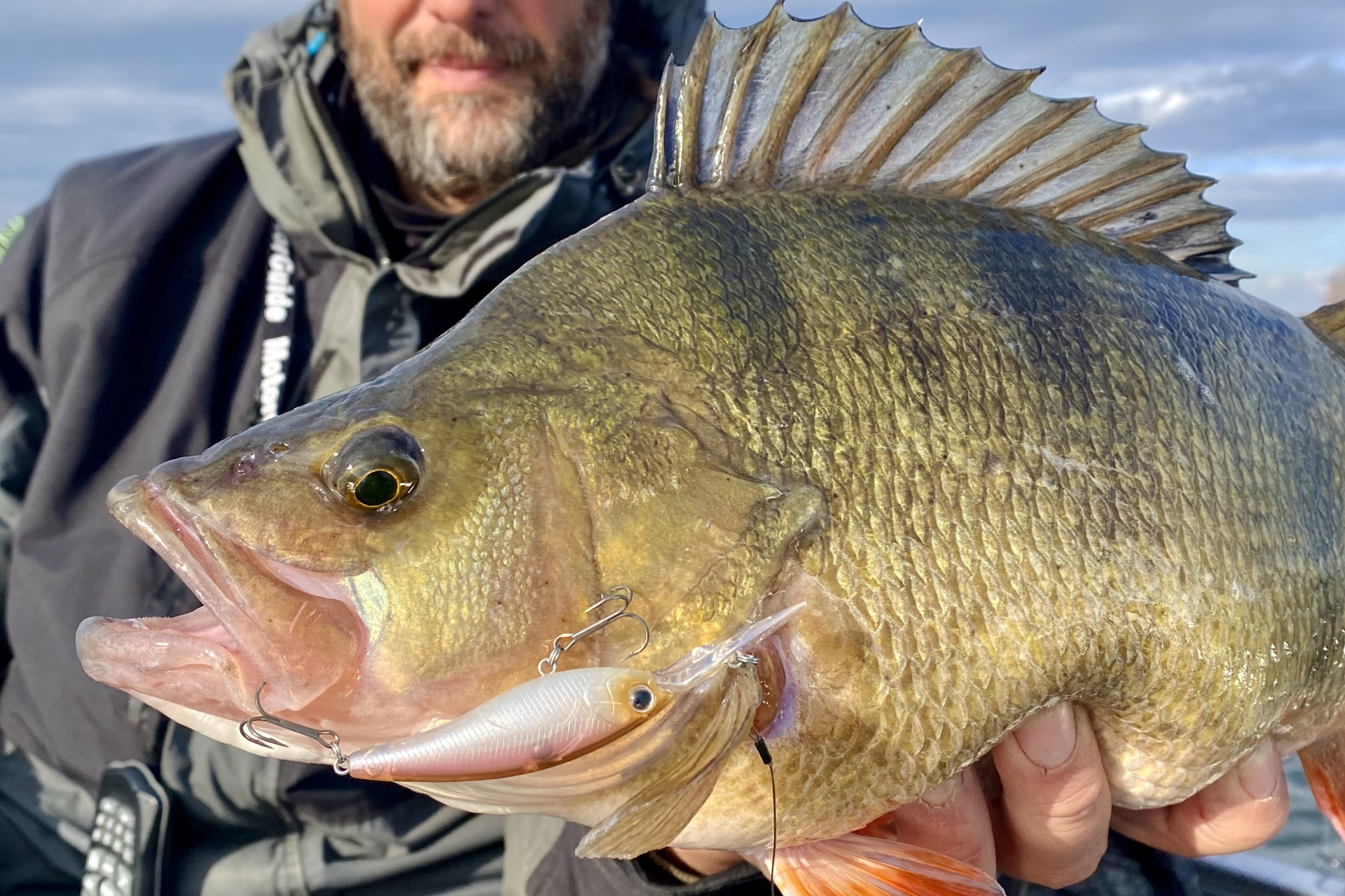 Steez Shad | 60SP-SR <span>| Minnowbait | schwebend | Shallow Runner</span> Steez Shad | 60SP-SR <span>| Minnowbait | schwebend | Shallow Runner</span>