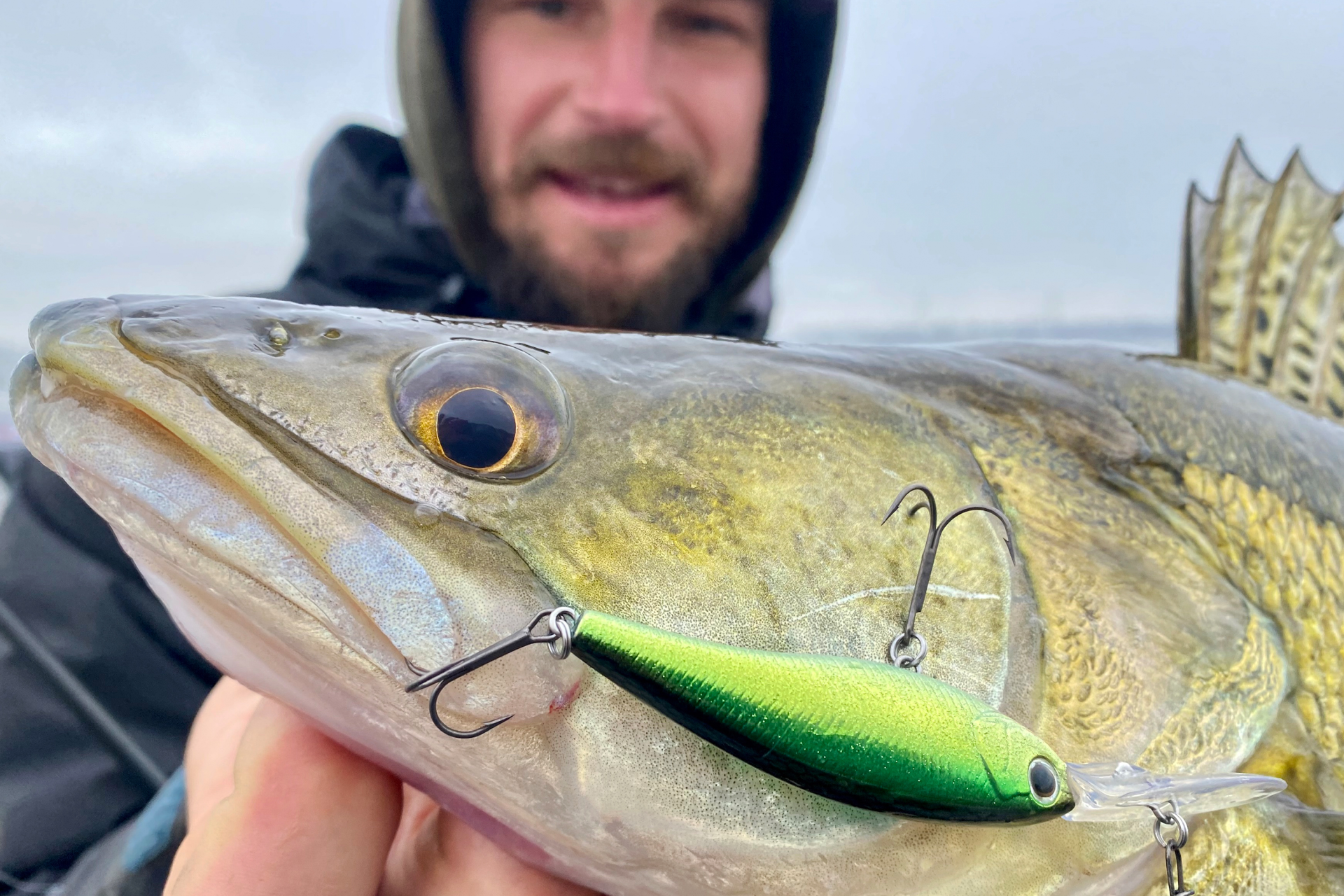 Steez Shad | 60SP-SR <span>| Minnowbait | schwebend | Shallow Runner</span> Steez Shad | 60SP-SR <span>| Minnowbait | schwebend | Shallow Runner</span>